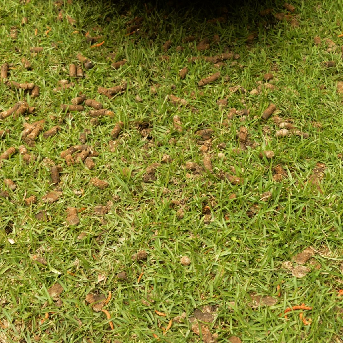 Home Services in Lehi, UT