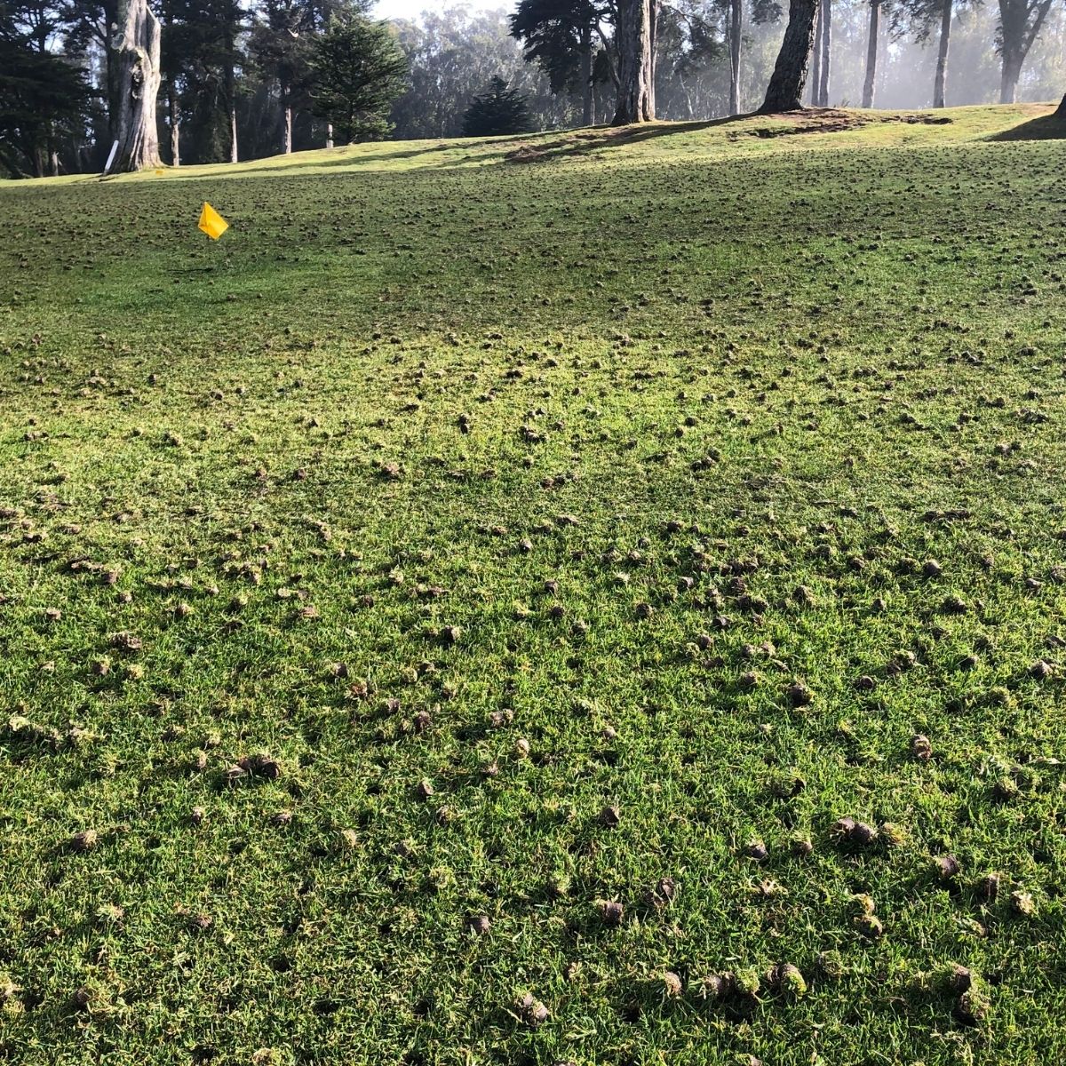 Home Services in Lehi, UT